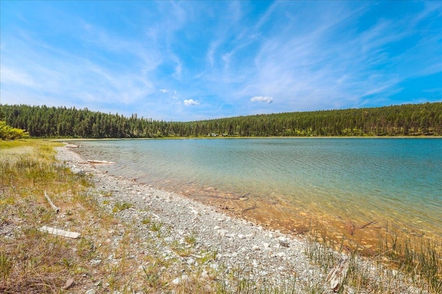 NHN Ray Flanagan Ln, Eureka, MT 59917