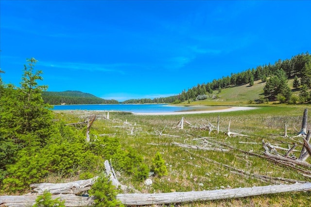 NHN Ray Flanagan Ln, Eureka, MT 59917