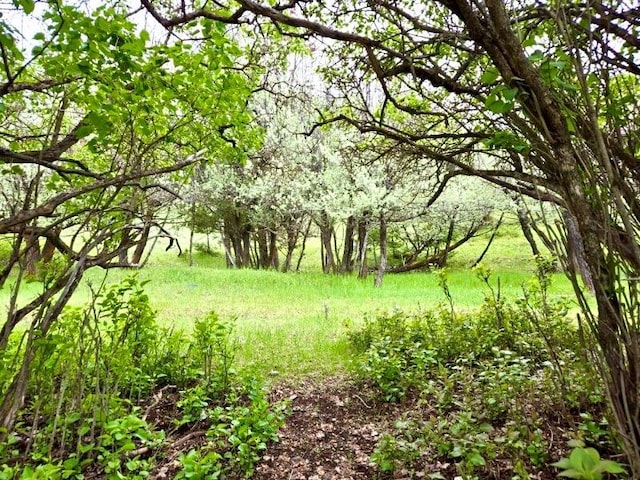 NHN Ray Flanagan Ln, Eureka, MT 59917