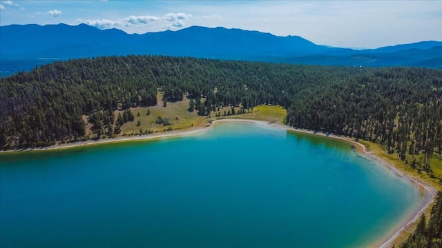 NHN Ray Flanagan Ln, Eureka, MT 59917