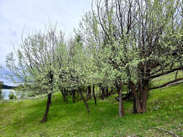 NHN Ray Flanagan Ln, Eureka, MT 59917
