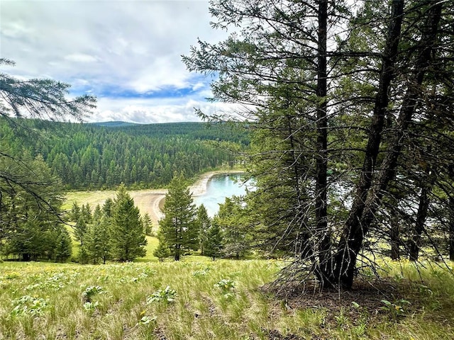 NHN Ray Flanagan Ln, Eureka, MT 59917