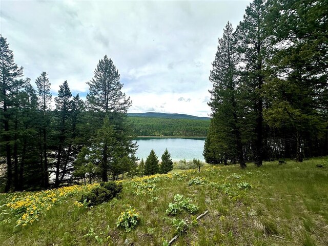 NHN Ray Flanagan Ln, Eureka, MT 59917