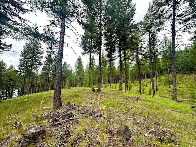 NHN Ray Flanagan Ln, Eureka, MT 59917