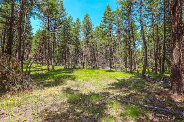 NHN Ray Flanagan Ln, Eureka, MT 59917