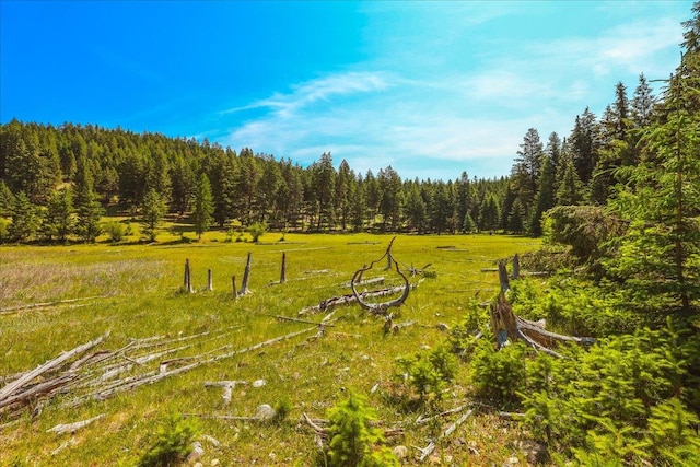 NHN Ray Flanagan Ln, Eureka, MT 59917