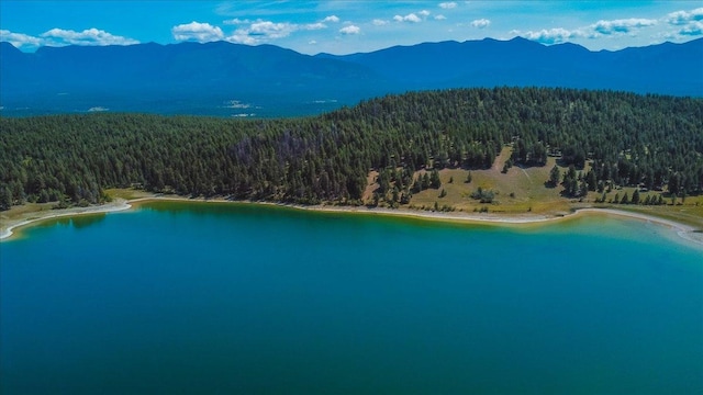 NHN Ray Flanagan Ln, Eureka, MT 59917