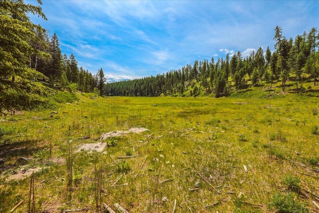 NHN Ray Flanagan Ln, Eureka, MT 59917