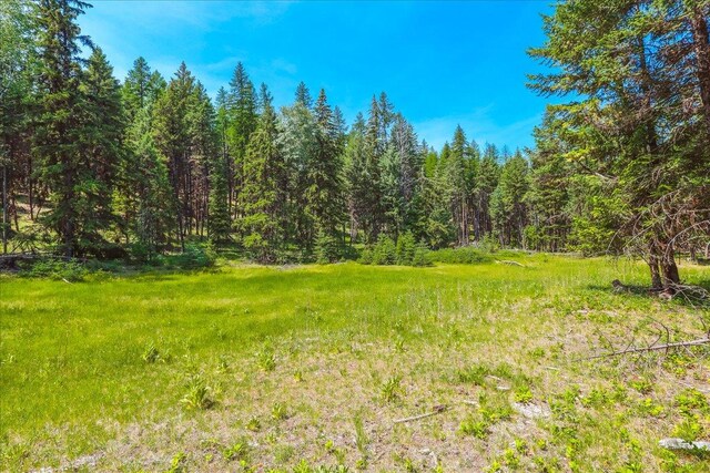 NHN Ray Flanagan Ln, Eureka, MT 59917