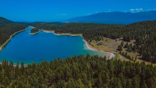 NHN Ray Flanagan Ln, Eureka, MT 59917