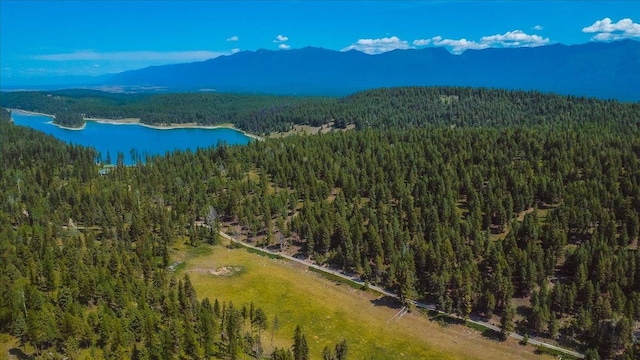 NHN Ray Flanagan Ln, Eureka, MT 59917