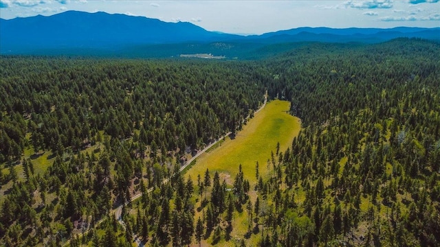 NHN Ray Flanagan Ln, Eureka, MT 59917
