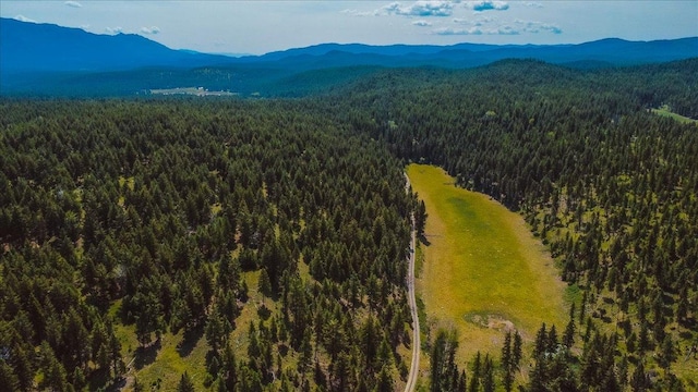 NHN Ray Flanagan Ln, Eureka, MT 59917