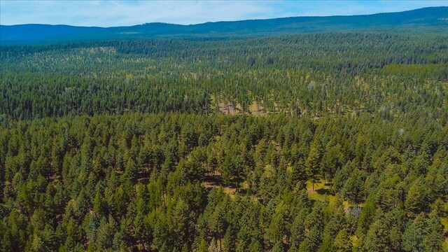 NHN Ray Flanagan Ln, Eureka, MT 59917