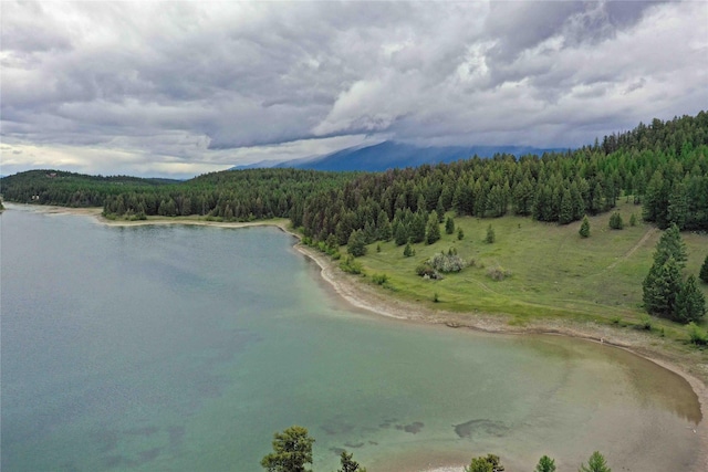 NHN Ray Flanagan Ln, Eureka, MT 59917