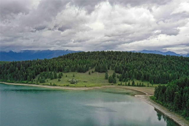 NHN Ray Flanagan Ln, Eureka, MT 59917