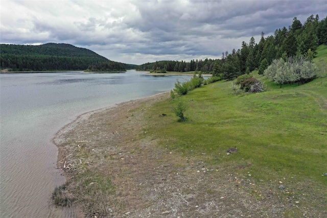 NHN Ray Flanagan Ln, Eureka, MT 59917