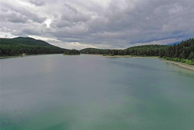 NHN Ray Flanagan Ln, Eureka, MT 59917