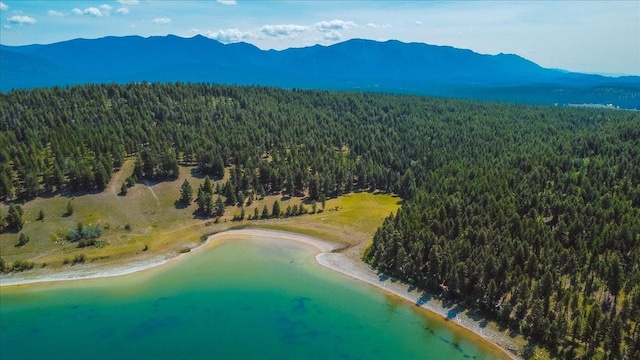 NHN Ray Flanagan Ln, Eureka, MT 59917