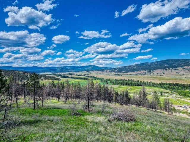 24826 Black Lake Trl, Dayton, MT 59914