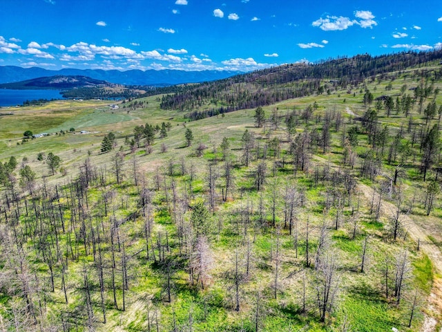 24826 Black Lake Trl, Dayton, MT 59914