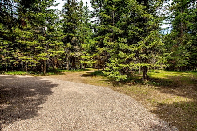 29495 Drifting Way, Bigfork, MT 59911