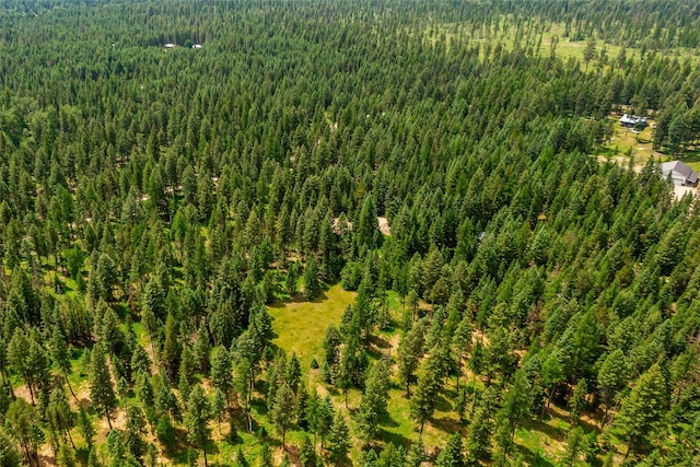 29495 Drifting Way, Bigfork, MT 59911