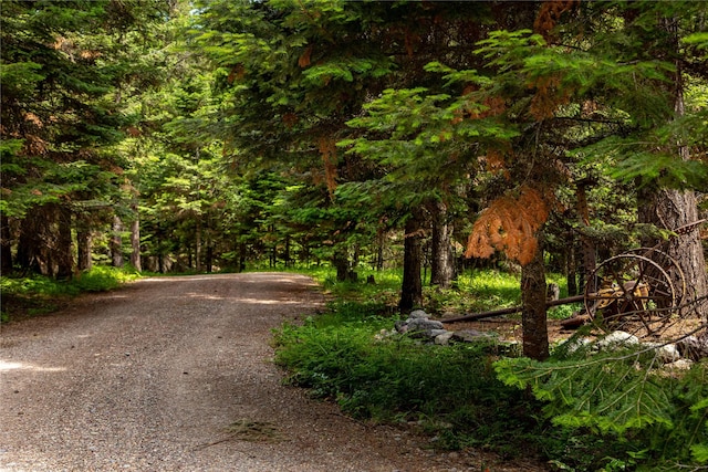 29495 Drifting Way, Bigfork, MT 59911
