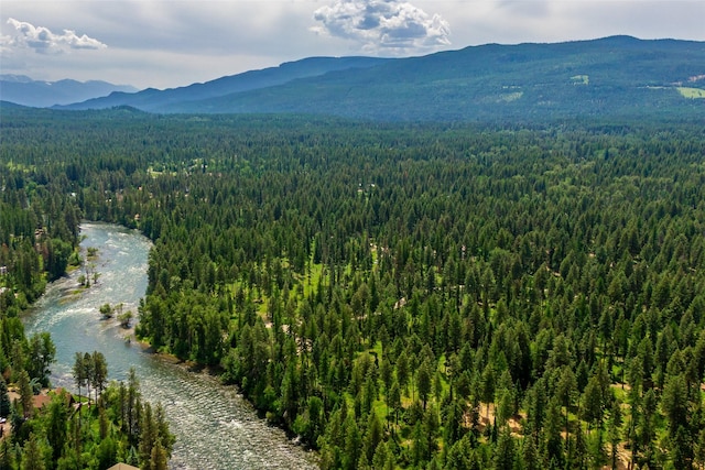 29495 Drifting Way, Bigfork, MT 59911