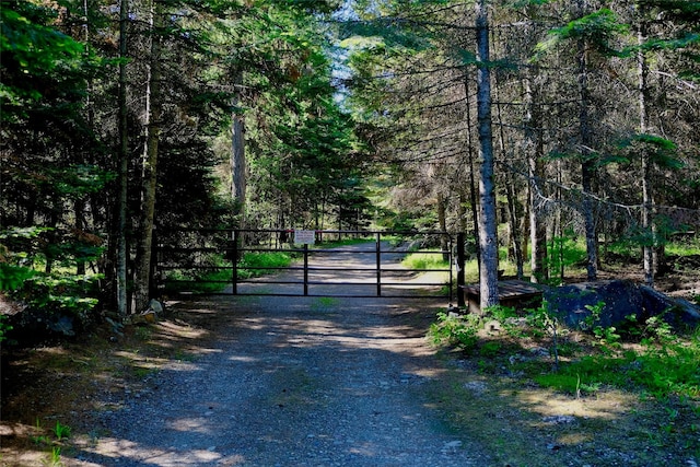 29495 Drifting Way, Bigfork, MT 59911