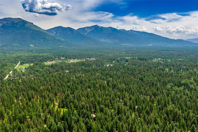 29495 Drifting Way, Bigfork, MT 59911
