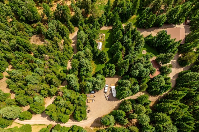 29495 Drifting Way, Bigfork, MT 59911