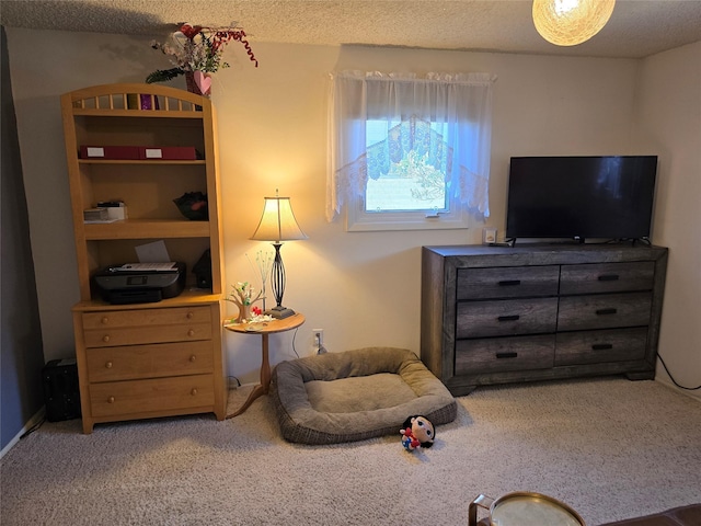 761 32nd Ave NE, Great Falls, MT 59404 - sitting room with light carpet and a textured ceiling