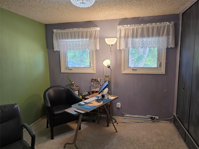 761 32nd Ave NE, Great Falls, MT 59404 - carpeted home office featuring a textured ceiling