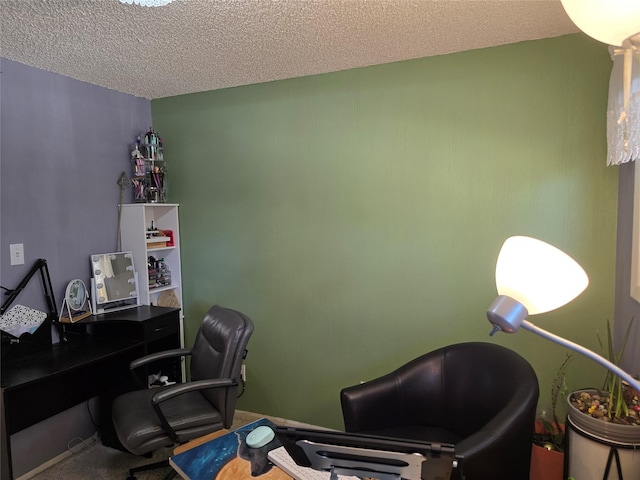 761 32nd Ave NE, Great Falls, MT 59404 - carpeted home office with a textured ceiling