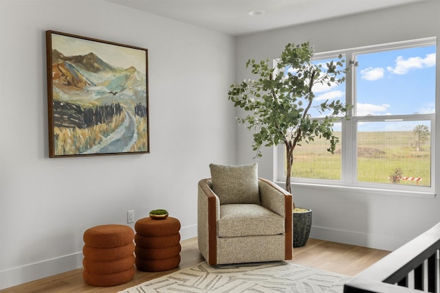 5465 Remington Dr, Missoula, MT 59808 - living area with healthy amount of natural light and wood finished floors