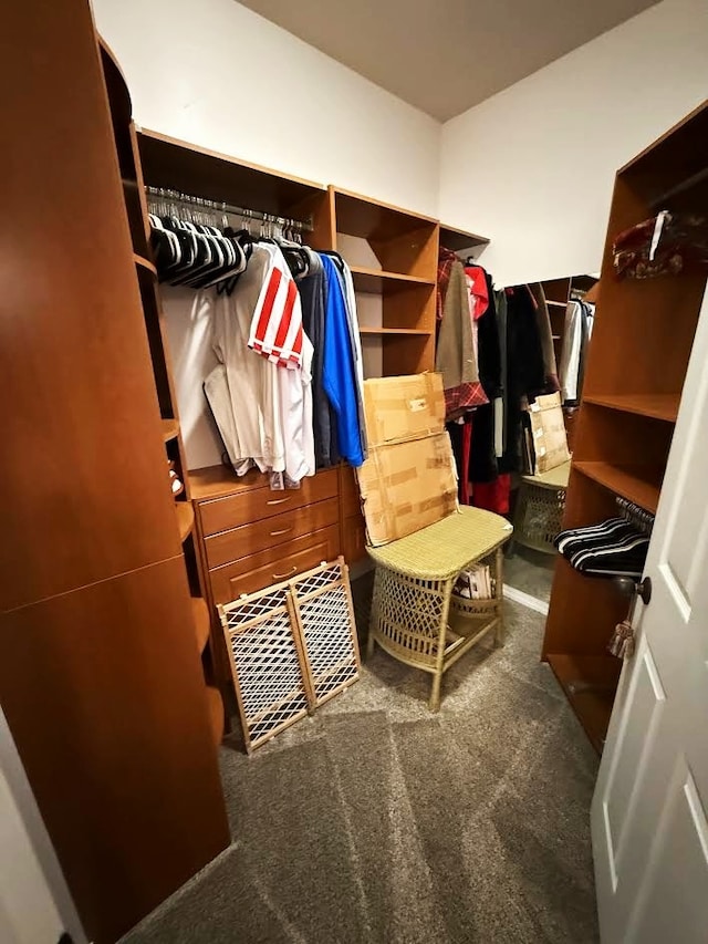 151 Whisper Ridge Dr, Bigfork, MT 59911 - spacious closet with carpet flooring