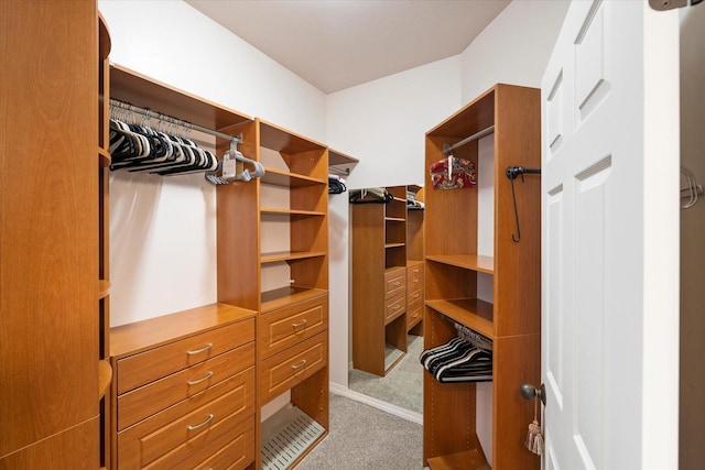151 Whisper Ridge Dr, Bigfork, MT 59911 - spacious closet featuring carpet flooring