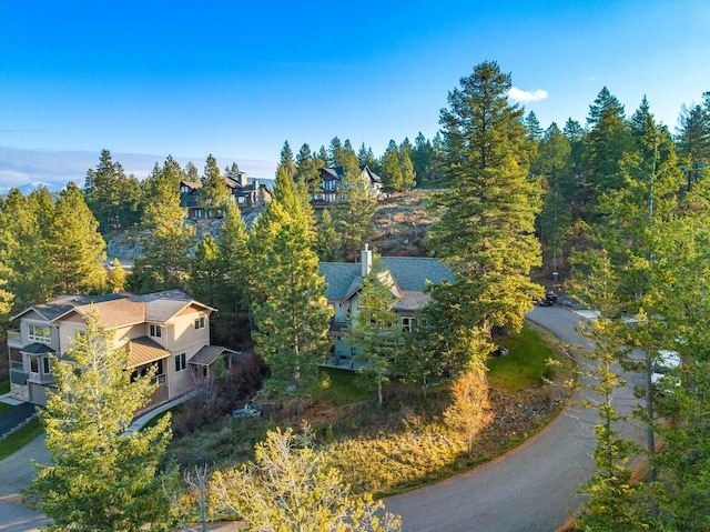 151 Whisper Ridge Dr, Bigfork, MT 59911 - drone / aerial view
