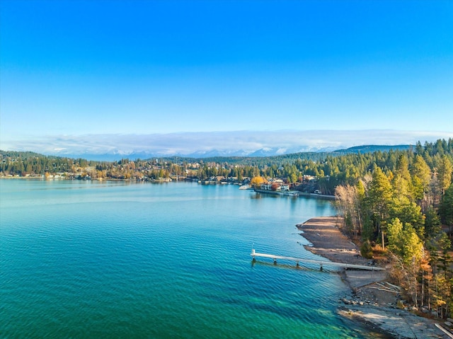 151 Whisper Ridge Dr, Bigfork, MT 59911 - water view with a heavily wooded area