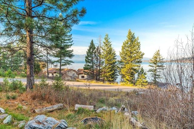 151 Whisper Ridge Dr, Bigfork, MT 59911 - view of yard featuring a water view