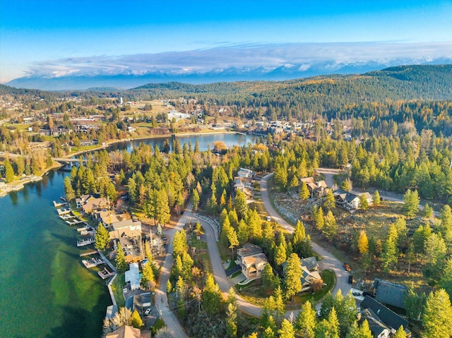 151 Whisper Ridge Dr, Bigfork, MT 59911 - view of property location featuring a water and mountain view