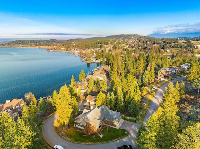 151 Whisper Ridge Dr, Bigfork, MT 59911 - view of property location with a large body of water and a forest