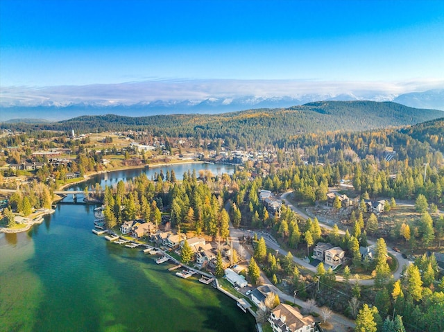 151 Whisper Ridge Dr, Bigfork, MT 59911 - aerial overview of property's location featuring a water and mountain view and a forest