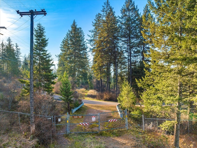 151 Whisper Ridge Dr, Bigfork, MT 59911 - view of yard with a gate