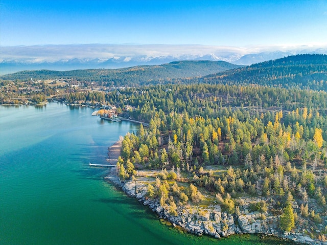 151 Whisper Ridge Dr, Bigfork, MT 59911 - view of property location with a heavily wooded area and a water and mountain view