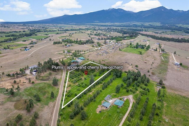 674 Porter Hill Rd, Stevensville, MT 59870 - view of rural area featuring property parcel outlined and a mountain backdrop
