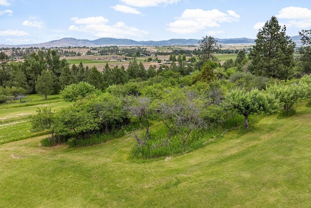 674 Porter Hill Rd, Stevensville, MT 59870 - view of mountain backdrop