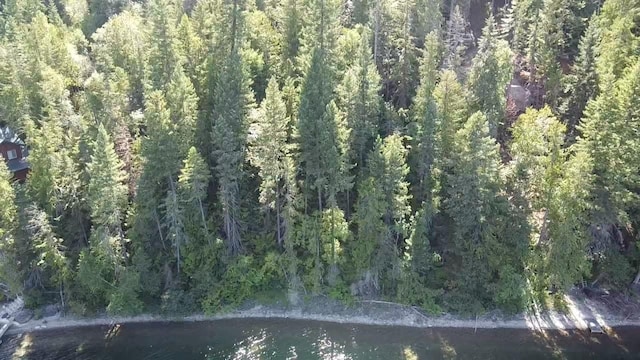 28782 Cedar Bay Ln, Bigfork, MT 59911