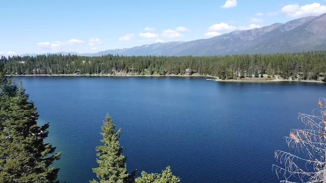 28782 Cedar Bay Ln, Bigfork, MT 59911